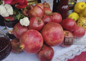 Pomegranate festival underway in Goychay