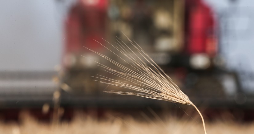 США могут снять санкции с Беларуси в обмен на вывоз зерна из Украины