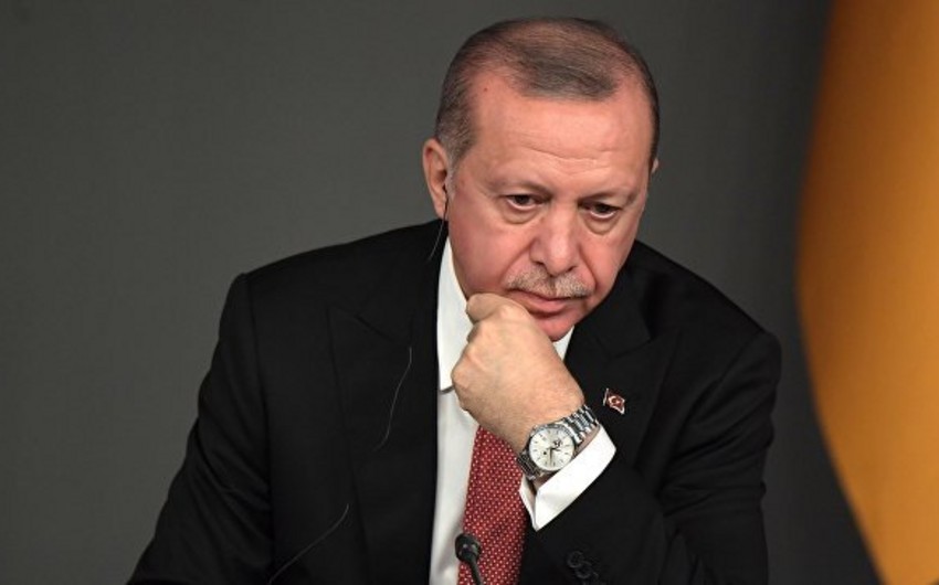 Эрдоган: TANAP и Турецкий поток вносят вклад в энергобезопасность Европы