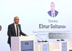 İcraçı direktor: Danışıqçılar səviyyəsində COP29 üzrə görüş Şamaxıda keçiriləcək