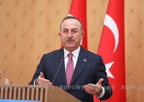 Cavusoglu: Some in Sweden do not want this country to join NATO