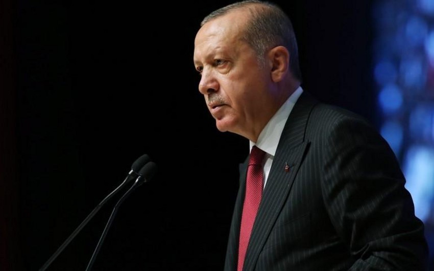 Эрдоган: Турция, Азербайджан и Туркменистан выразили свою решимость