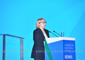 Натия Турнава: В Грузии более 1000 компаний с азербайджанскими и турецкими инвестициями 