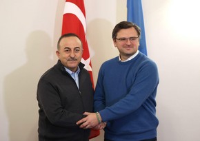 Mövlud Çavuşoğlu ukraynalı həmkarı ilə danışıb