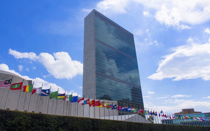 Резидент-координатор: ООН готова оказать Азербайджану поддержку