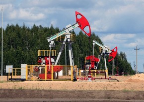 Роснефть будет искать нефть в Гомельской области Беларуси