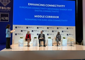 ADB meeting hosts panel discussion on Middle Corridor