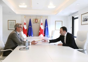 Грузия представила вторую часть анкеты на вступление в ЕС