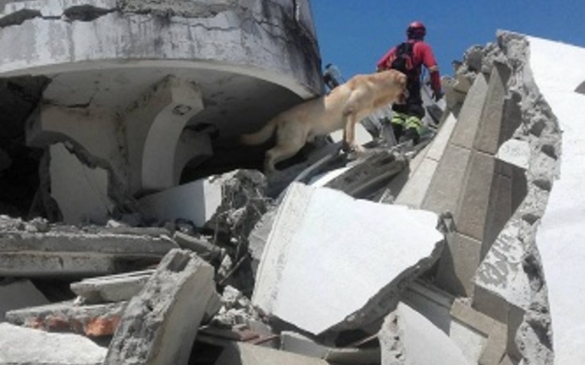 Число жертв землетрясения в Эквадоре достигло 655 человек