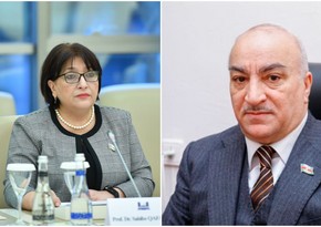 Speaker backlashes at proposal to allocate new cars to Azerbaijani parliament employees 