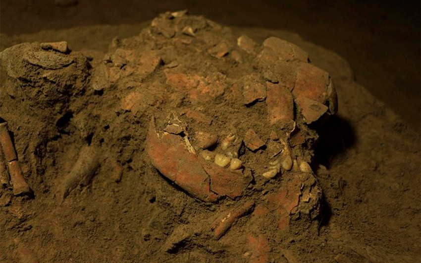 В Индонезии найден новый вид древнего человека