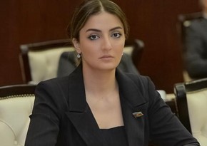 Konul Nurullayeva: 'Targeting of peaceful population by Armenian troops should be strongly condemned'