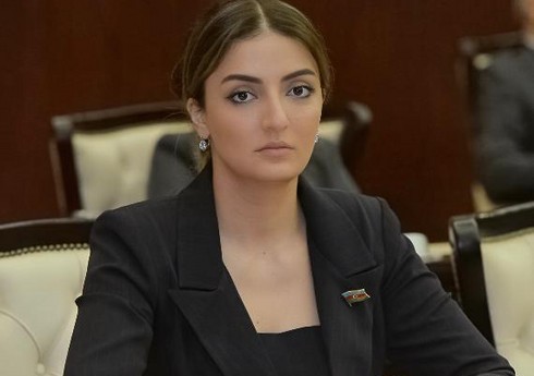 Депутат: Обстрел мирного населения с армянской стороны должен быть подвергнут серьезному осуждению