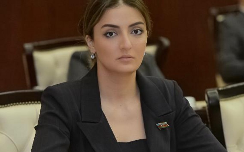 Konul Nurullayeva: 'Targeting of peaceful population by Armenian troops should be strongly condemned'