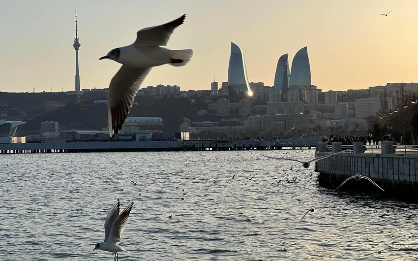 Высота волн в Каспийском море достигла 5 метров