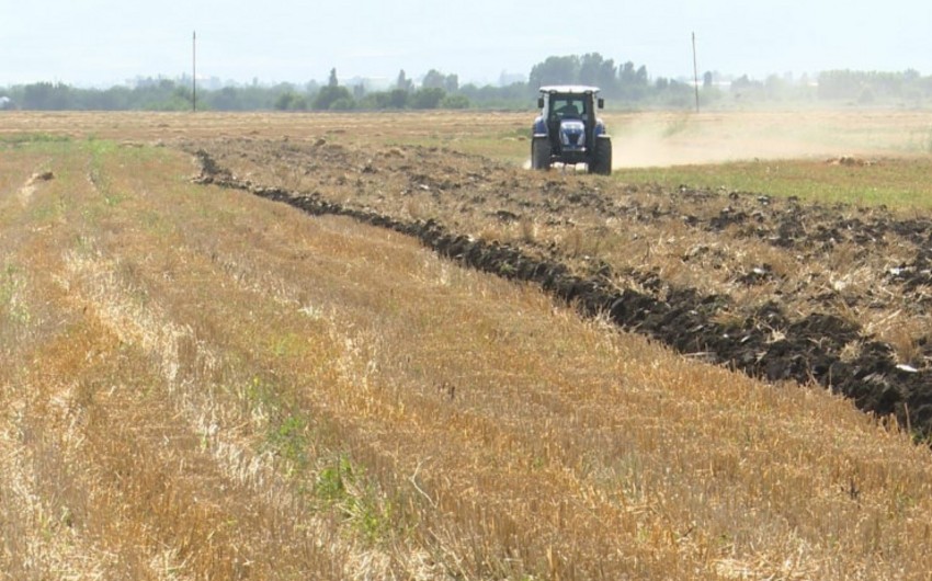 В Азербайджане на площади около 527 тыс. гектаров проведена летняя вспашка