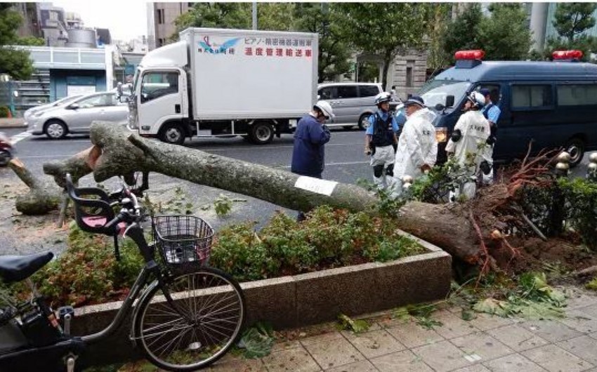 Yaponiyada Tapa tufanı zamanı 30 nəfər xəsarət alıb