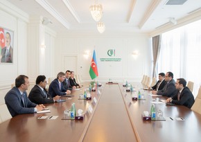 Азербайджан обсудил с ФАО развитие сельского хозяйства на освобожденных территориях
