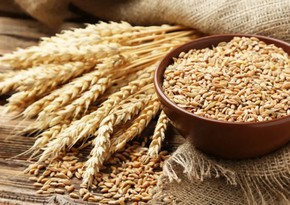 Азербайджан импортировал из Ульяновска более 15 тыс. тонн пшеницы