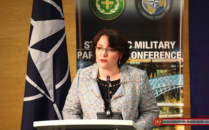 ​Министр обороны Грузии посетит США