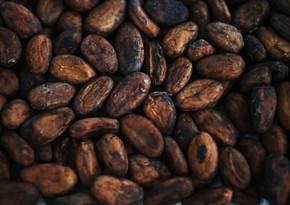 Cocoa prices reach 8-month high on global exchanges