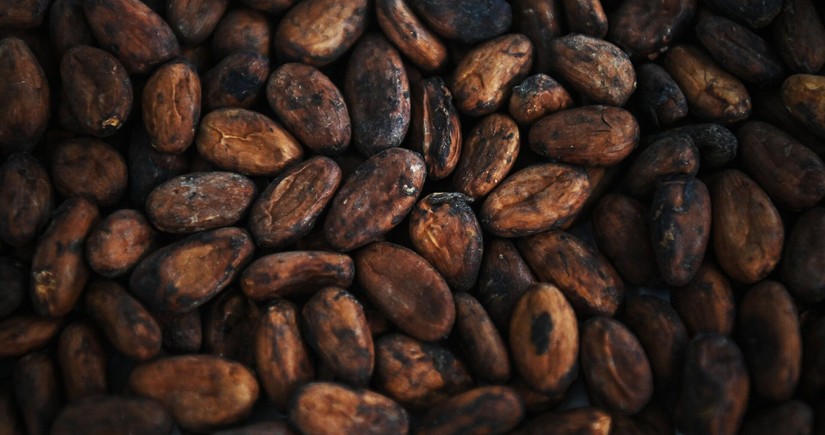 Cocoa prices reach 8-month high on global exchanges