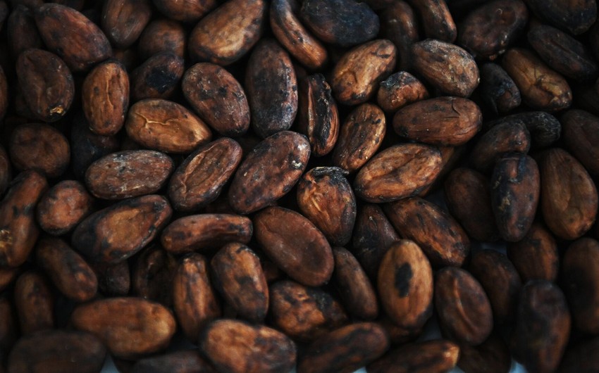 Cocoa prices reach 8-month high on global exchanges