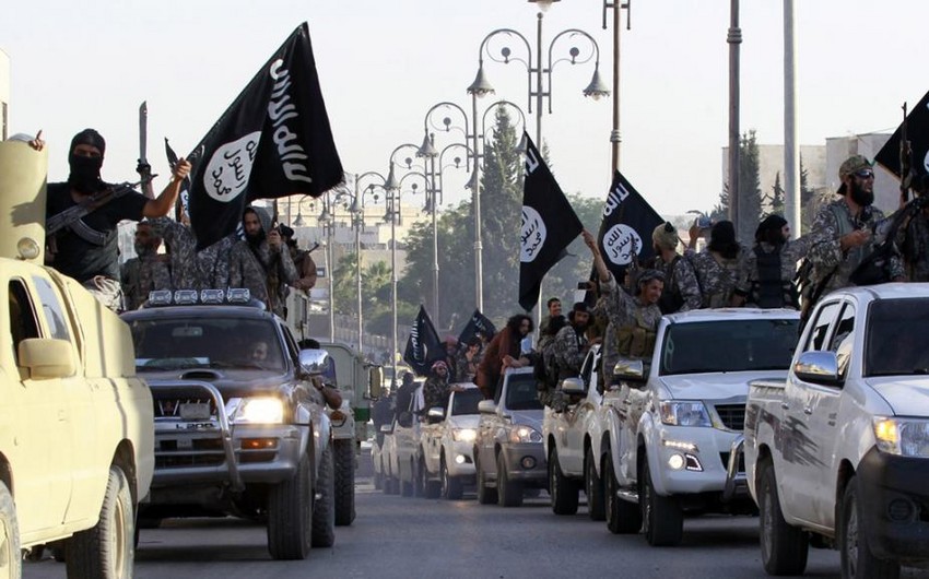 МИД Ирака: Багдад освободил от боевиков ИГИЛ более трети территории страны
