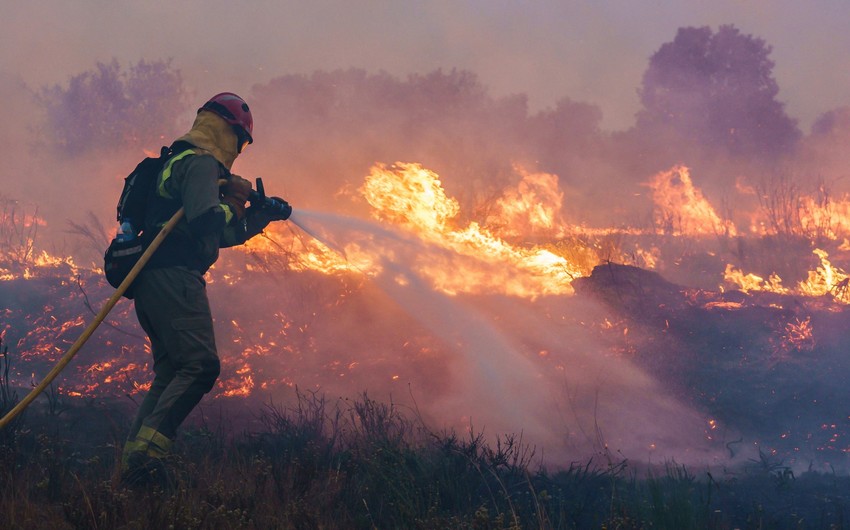 Some European countries facing wildfires due to abnormal heat