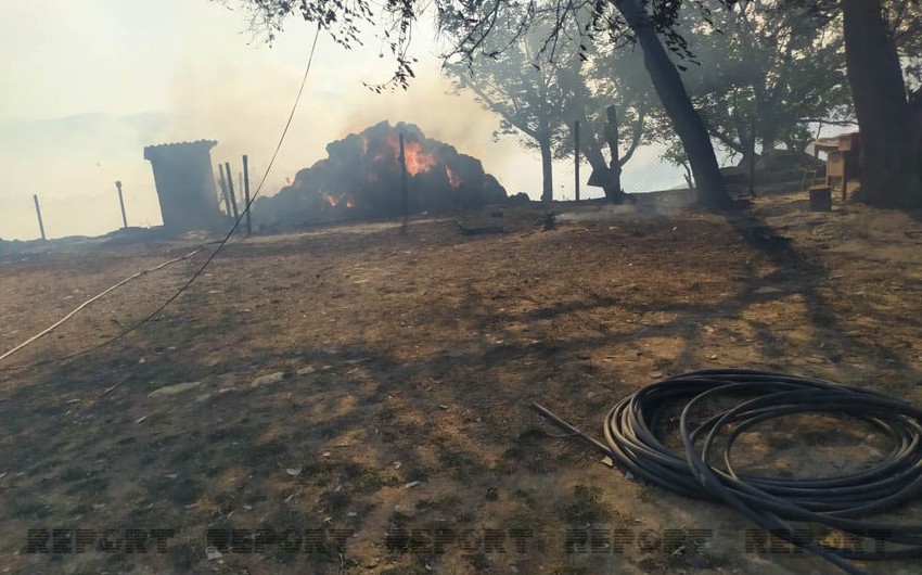Wildfire in Shabran spreads to private houses