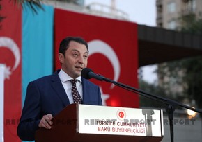 Замглавы МИД: Усилия Турции по установлению международной справедливости незаменимы
