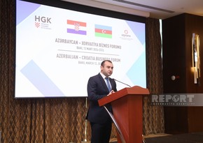 В Хорватии пройдут Дни азербайджанской культуры 