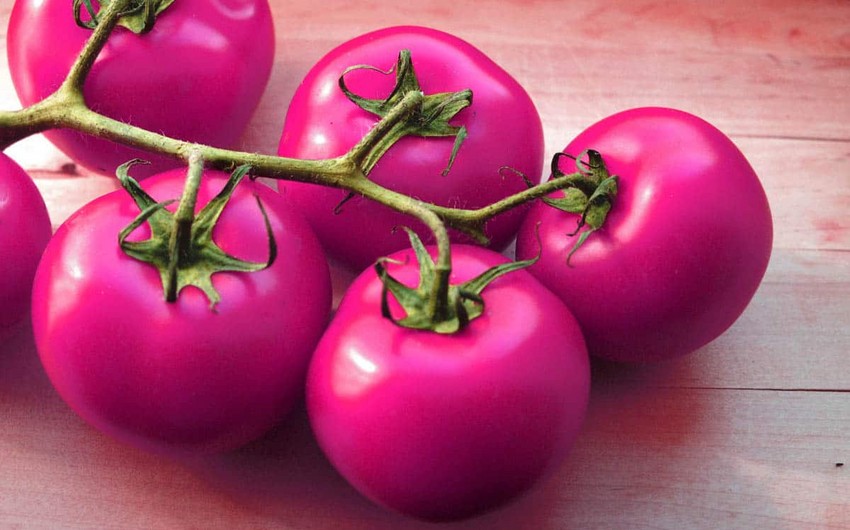 В Азербайджане выведут новые сорта розовых помидоров