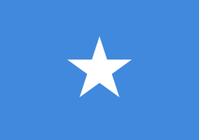 Парламент Сомали утвердил новый состав правительства