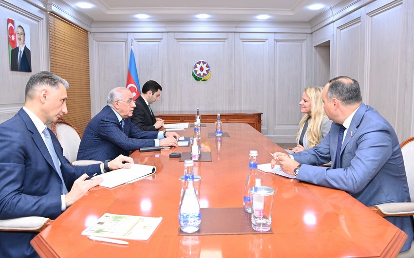 Azerbaijani prime minister meets SpaceX chief