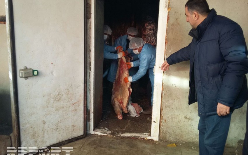 В Барде сожжено 20 тонн мяса неизвестного происхождения
