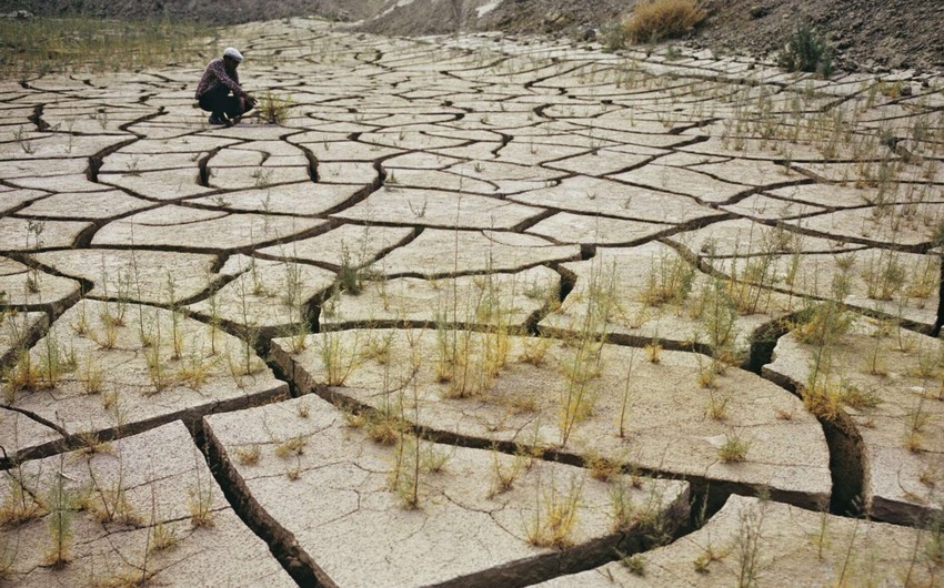 Global drought damage reaches $13.2B in 1H22