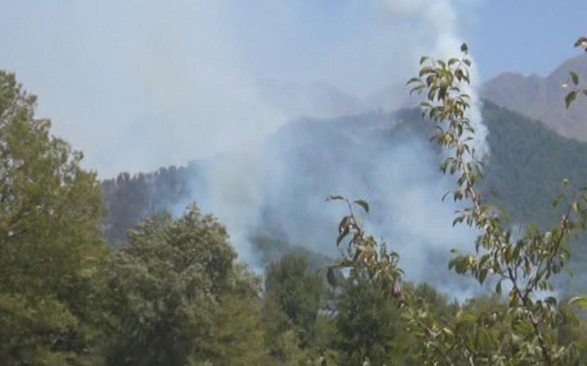 В лесах на территории Огузского района произошел пожар