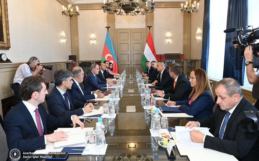 Состоялось первое заседание Азербайджано-венгерского стратегического диалога