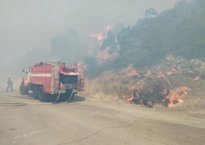 Two injured as fire engulfs holiday resorts in Novorossiysk