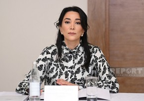 Ombudsman: Azərbaycan dünyada dezinformasiyadan ən çox əziyyət çəkən ölkələrdən biridir