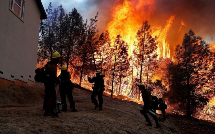 В Калифорнии локализован самый крупный природный пожар в истории штата - ФОТО