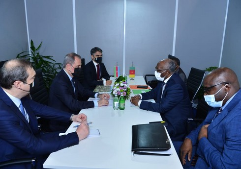 Состоялась встреча глав МИД Азербайджана и Камеруна