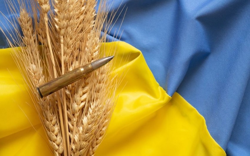 FAO: Ukraynadakı böhran səbəbindən gələn il ərzaqla bağlı problem yaşanacaq