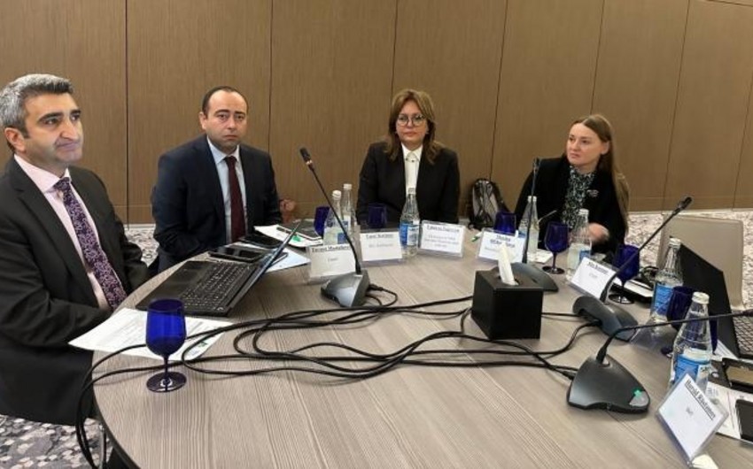 ETSN rəsmisi: İqlim dəyişmələri təsirlərinin azaldılması üçün ardıcıl tədbirlər həyata keçirilir