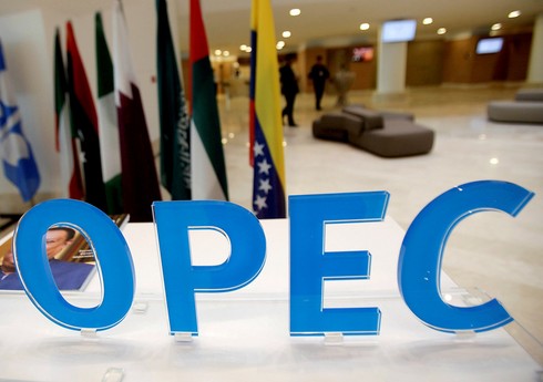 ОПЕК сохранил оценку роста предложения нефти из стран, не входящих в ОПЕК+