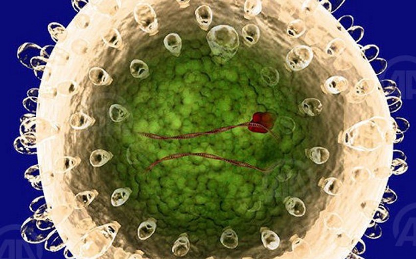 ÜST: Hepatit virusundan hər il 1,4 milyon insan dünyasını dəyişir
