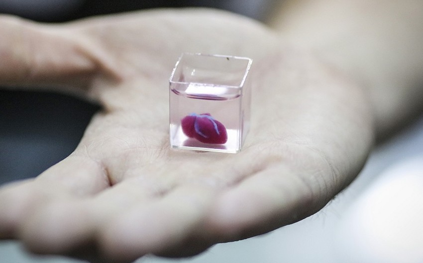 Ученые впервые вырастили живое микросердце 