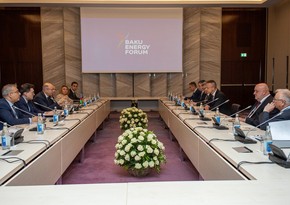 Azerbaijan and Hungary discuss power supply via green energy corridor