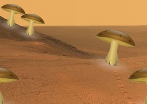 NASA: Mars habitats can live in Mushroom Houses